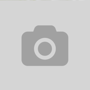 Demo-image